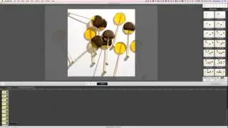 Working with Multiple Images in Screenflow