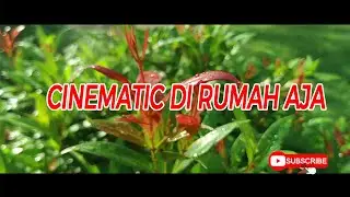 CINEMATIC DIRUMAH AJA SAAT PANDEMI COVID-19