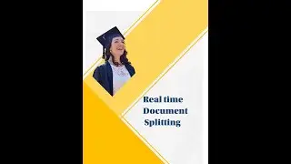 Item Category for Document Splitting