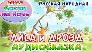 РУССКАЯ НАРОДНАЯ СКАЗКА - ЛИСА И ДРОЗД. Аудио сказка.