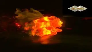 Hướng dẫn các bạn làm intro sư tử lửa ( make fire lion intro) intro no text free down load
