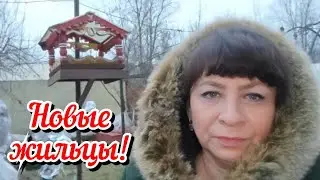 У нас прибавление. Новые жильцы. Дегустация фруктово-овощного ассорти. Жизнь семьи в деревне.