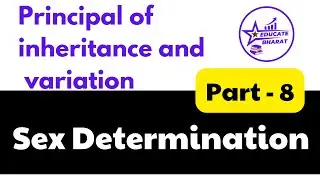 Sex Determination | Principal of inheritance and variation | Part 8 | Saumya Maurya | Neet