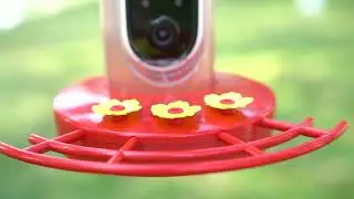 Smart Hummingbird Feeder Installation Tutorial