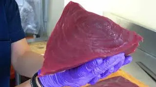 Luxury Bluefin Tuna Slicing: Otoro & Akami - The Ultimate Sushi Experience!