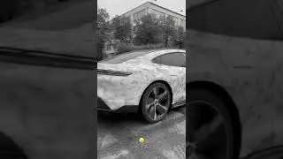 НОВЫЙ ПОРШ ТАЙКАН МИХАИЛА ЛИТВИНА
