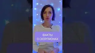 Факты о скорпионах