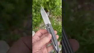 Enrique Pena COBRA
