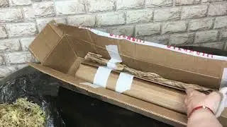 #5 Обзор второй долгожданной потерянной посылки с орхидеями.