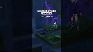#genshinimpact