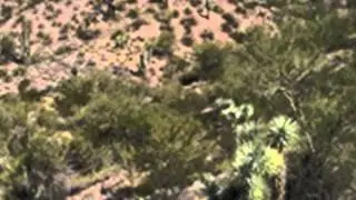 Wilderness Act: Natural