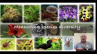 Measuring species diversity