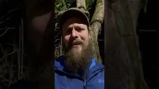 Training Day 21 - Never enough time #appalachiantrail #training #thruhike #trailrunning
