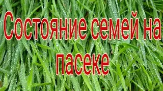11 ноября 2020 г.