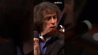 Try to not whistle the melody #shorts