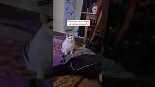 Немного о моих любимых заказчиков 