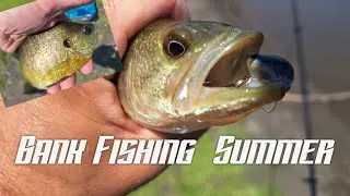 SUMMER BANK FISHING BLUGILL AND BASS!!