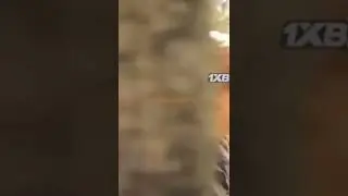 Есть другие мстители 😯 ДИАЛОГ ВАНДЫ и СТРЭНДЖА #marvel #shorts #момент #фильм