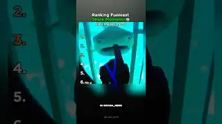 Ranking The Funniest Shark Moments