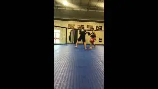 Тренировка бойца "GOR MMA" Ивана с тренером "American Top Team" Андерсеном.