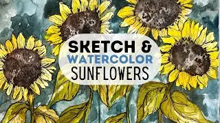 sketch and watercolor sunflowers