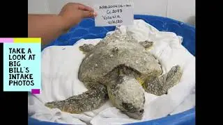 Marine Science Center Transformation Tuesday