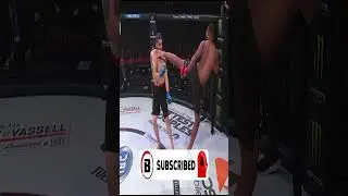 Amazing Christian Edwards Head Kick KO💥😱 | Bellator 233 🔥