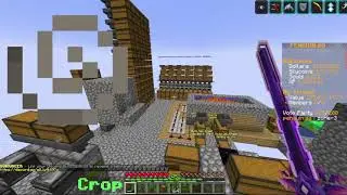 30 Days on penguin.gg SkyBlock Day 32: Starting to seed all the farmland
