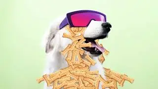 Заставка Nickelodeon 2017 по наше время