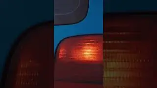 7 марта 2024 г.