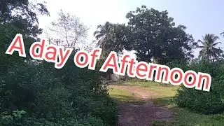 A day of Afternoon 🌻🌄 