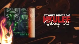 (VDD) NUMBERS DIDN'T LIE AMAPIANO SAMPLE PACK// NKULEE 501 & SKROEF 28