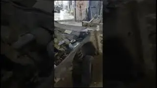 17 января 2024 г.