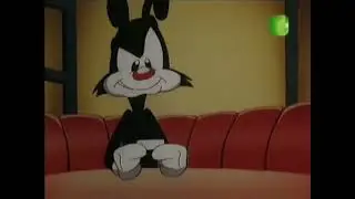 Animaniacs - Fortune Cookies (Arabic)