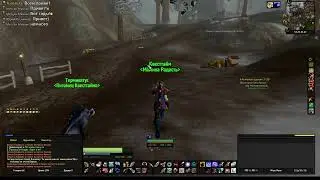 Тусим дальше, квесты WOW