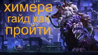 Гайд на Химеру как пройти Skul the hero slayer