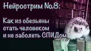 Нейрострим №8: Как из обезьяны стать человеком и не заболеть СПИДом