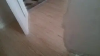 Live video 31 Окт 2016 г. 12:35:07
