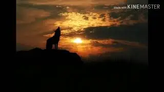 ЭТУ ПЕСНЮ ИЩУТ ВСЕ (20 МИНУТНАЯ ВЕРСИЯ)