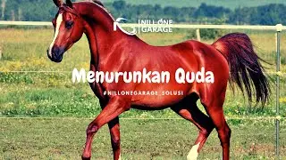 Proses menurunkan Kuda dari Truk