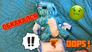 ПУШИСТИК ОБКАКАЛСЯ. ИГРАЕМ В ДОЧКИ-МАТЕРИ. Scruff a Luvs . ЛЕЧИМ РВОТУ. МЕНЯЕМ ПАМПЕРС.