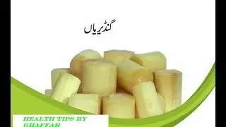 Gandyru ky faidy |yarkan ka Alaj| Health Tips by Ghaffar