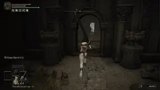 ELDEN RING dlc Shadow of the erdtree HOW TO FARM Silver Horn Tender and Blach Pyrefly QUICKLY