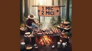 1 Mic 2 Mici