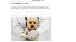 State Farm Pet Insurance  Is It Necessary For Your Pet
