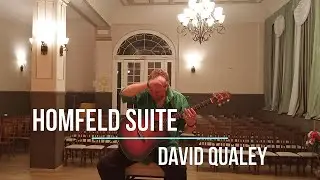 David Qualey - Homfeld suite #guitar #acousticguitar #fingerstyle #classicalguitar