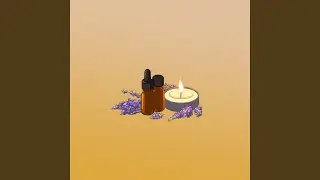 Lavender Nights