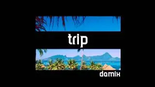 Damix - Trip