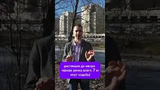 Бизнес класс на Чёрной речке!