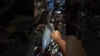 It's Alive!!